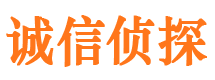 合作市调查公司